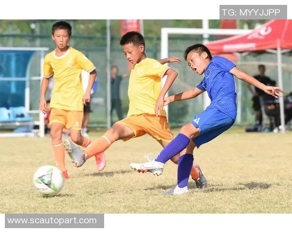 足球之星荣耀时刻：聚焦顶级球员精彩瞬间与背后奋斗故事